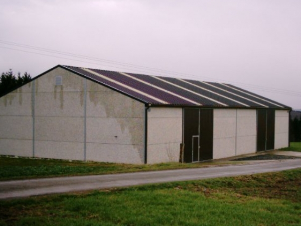 16_3_feltus_001.jpg