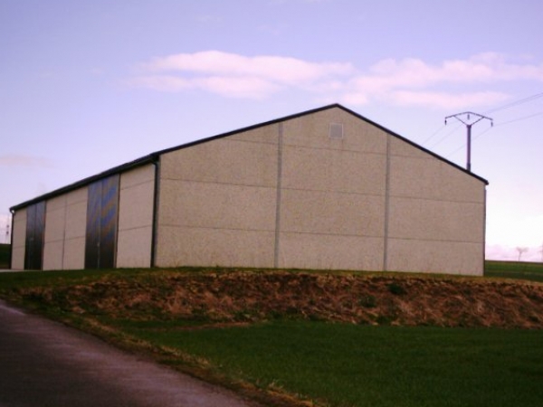 17_3_feltus_002.jpg